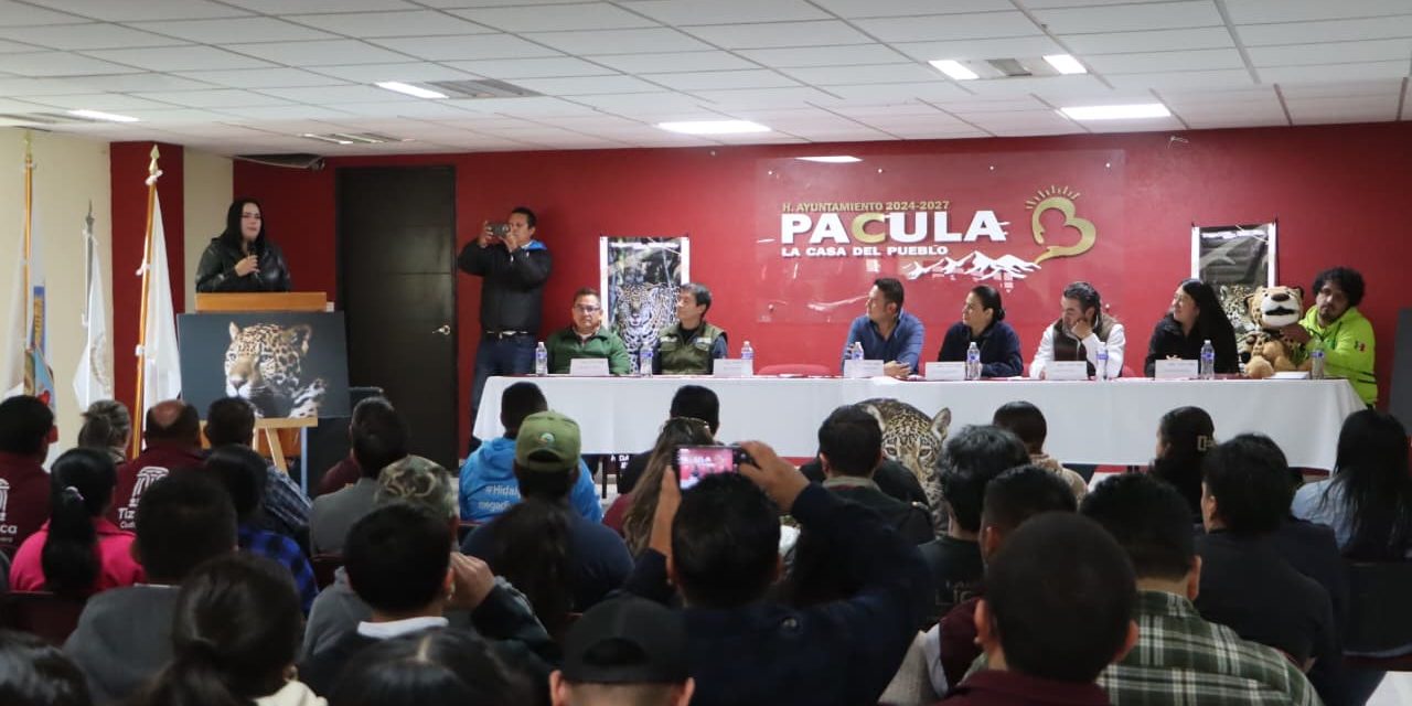 Buscan protección para zona del jaguar en Hidalgo 