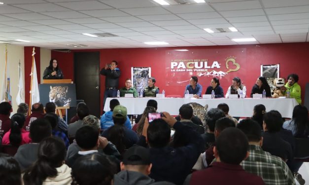 Buscan protección para zona del jaguar en Hidalgo 