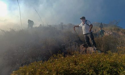 Sofocan incendio en el Cerro de la Cruz