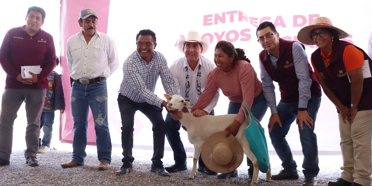 En 2026 se invertirán cerca de 40 mdp para fortalecer al sector ovino