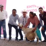 En 2026 se invertirán cerca de 40 mdp para fortalecer al sector ovino