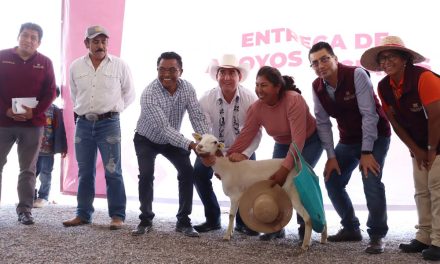 En 2026 se invertirán cerca de 40 mdp para fortalecer al sector ovino