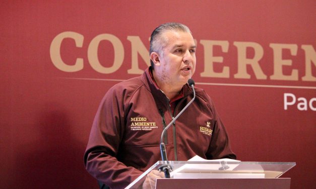 Se han registrado 29 incendios forestales este año