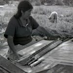 Más de 369 mil voces sostienen la lengua materna en Hidalgo