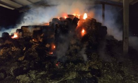 Incendio consume más de 2 mil pacas en la Central de Abastos de Actopan