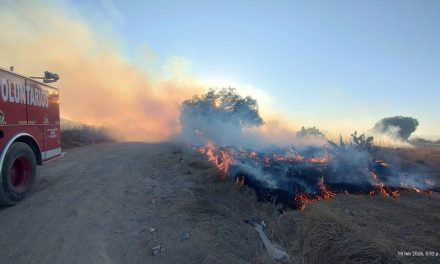 Incendios llegan a 70 en el estado, con saldo de un hombre sin vida