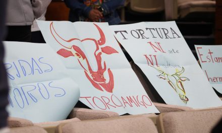 Ley antitaurina sigue estancada; acusan falta de claridad y resistencias
