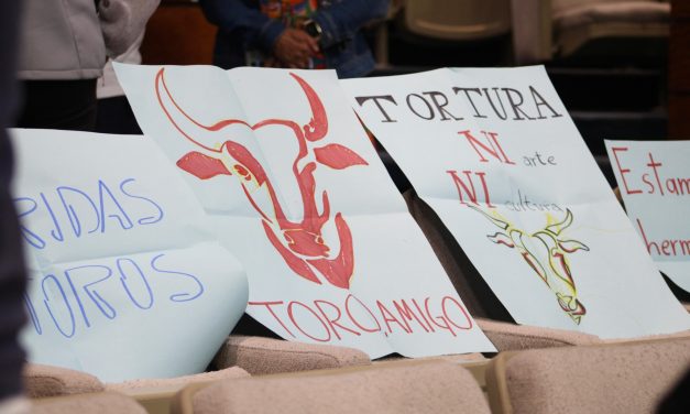Ley antitaurina sigue estancada; acusan falta de claridad y resistencias