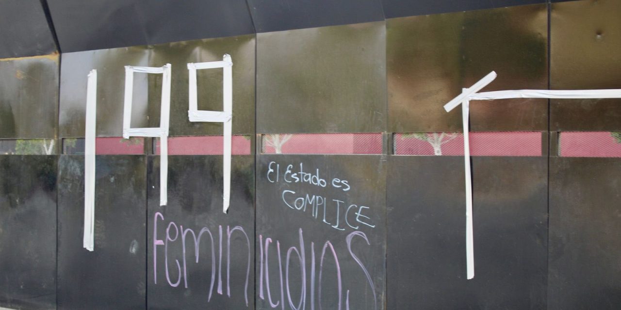 Seiinac denuncia 199 feminicidios en los últimos 10 años