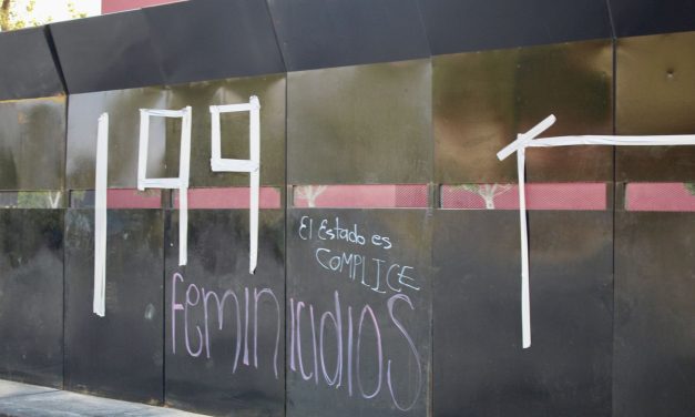 Seiinac denuncia 199 feminicidios en los últimos 10 años