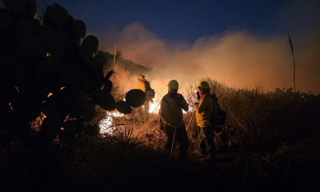 Cinco incendios forestales en 12 horas: Ajacuba, Pachuca y Apan los afectados