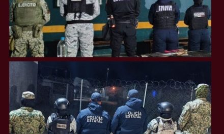 Realizan revisiones permanentes en Ceresos del estado