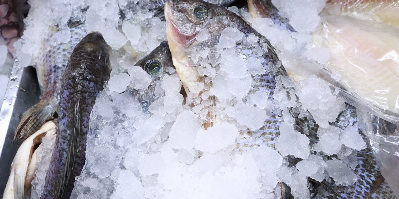 Copriseh inspecciona 1,500 comercios de productos pesqueros