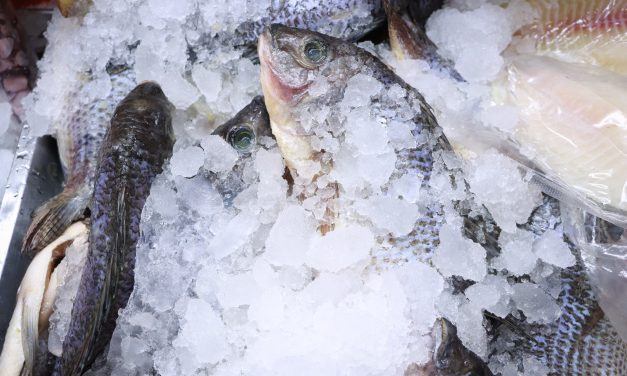 Copriseh inspecciona 1,500 comercios de productos pesqueros