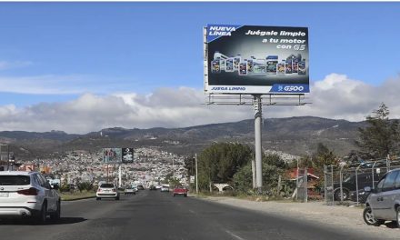 Por irregulares, bajan espectaculares en Mineral de la Reforma