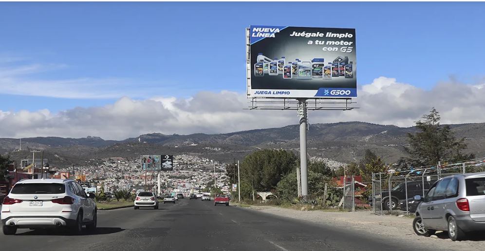Por irregulares, bajan espectaculares en Mineral de la Reforma