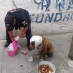 Rescatan a can herido en colonia de Pachuca