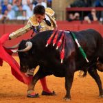 Acusan freno a iniciativa antitaurina