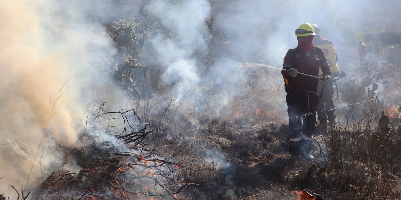 Atienden incendio forestal en comunidad de Jacala