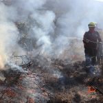 Atienden incendio forestal en comunidad de Jacala