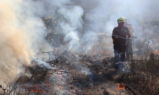 Atienden incendio forestal en comunidad de Jacala
