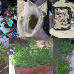 Desmantelan puntos de venta de droga en Pachuca