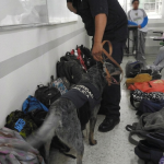 Alerta en escuelas por amenazas de tiroteos