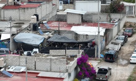 Desmantelan palenque clandestino en Pachuca