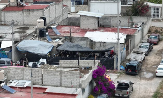 Desmantelan palenque clandestino en Pachuca