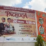 Prohibición taurina compete al Legislativo, dice Menchaca