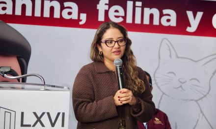 Vigilan riesgo de infección en humanos por el gusano barrenador