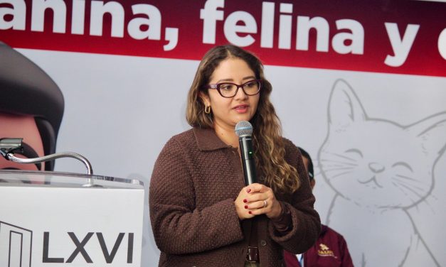 Vigilan riesgo de infección en humanos por el gusano barrenador