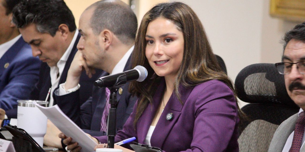 Opiniones técnicas sobre iniciativas no llegan a comisiones: diputada