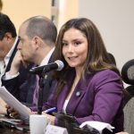 Opiniones técnicas sobre iniciativas no llegan a comisiones: diputada