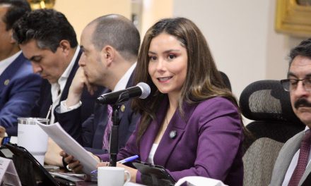 Opiniones técnicas sobre iniciativas no llegan a comisiones: diputada