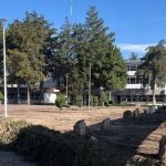 UAEH tira 44 árboles para construir nuevo edificio