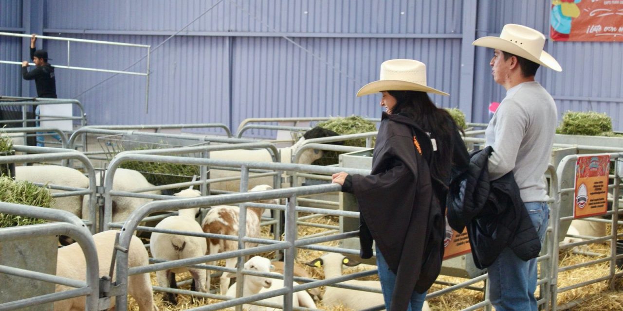 Realizarían la Ganadera cada año