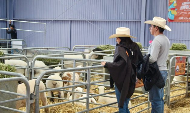 Realizarían la Ganadera cada año