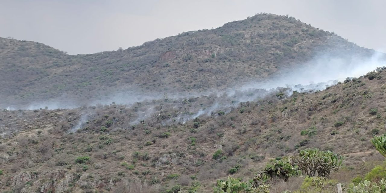 Incendio forestal consume 70 hectáreas en Actopan