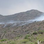 Incendio forestal consume 70 hectáreas en Actopan