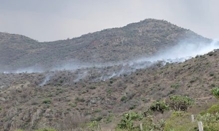 Incendio forestal consume 70 hectáreas en Actopan