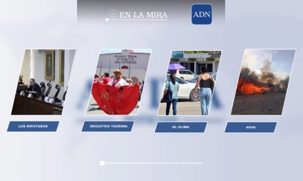 En la mira