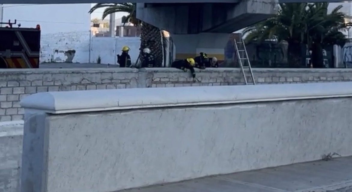 Accidente en Río de las Avenidas deja una mujer sin vida