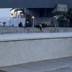 Accidente en Río de las Avenidas deja una mujer sin vida