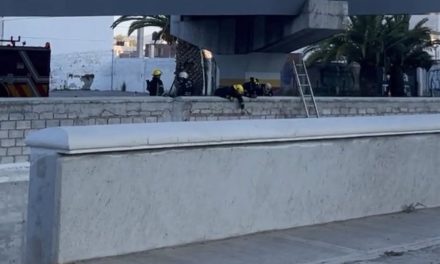 Accidente en Río de las Avenidas deja una mujer sin vida