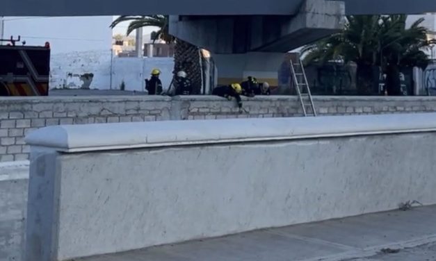 Accidente en Río de las Avenidas deja una mujer sin vida