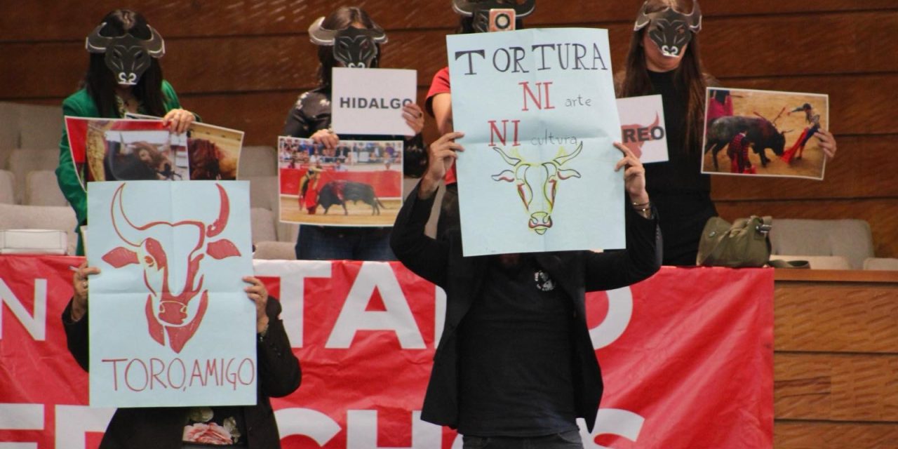 Consulta taurina se realizaría hasta 2027  