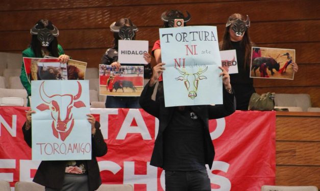 Consulta taurina se realizaría hasta 2027  