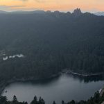 Plaga deforesta más de 23 mil árboles en Parque Nacional El Chico
