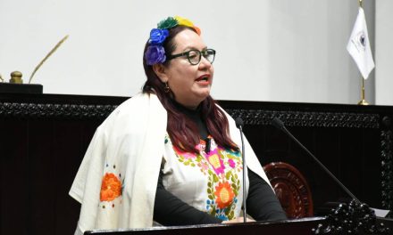 Consulta taurina contradice a Morena: Tania Meza